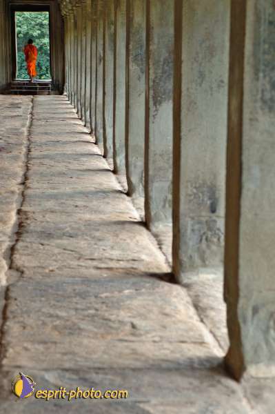 Nom de l'image : D2101108_1 — Description :