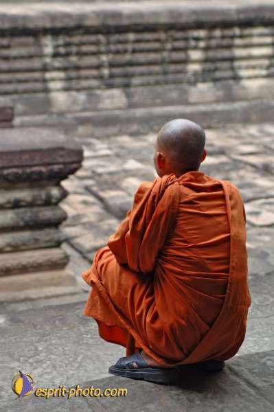 Nom de l'image : D2101115_1 — Description :