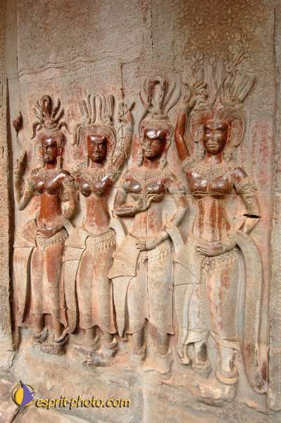 Nom de l'image : D2101123_1 — Description :