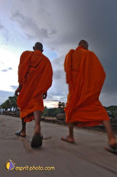 Nom de l'image : D2101159_1 — Description :