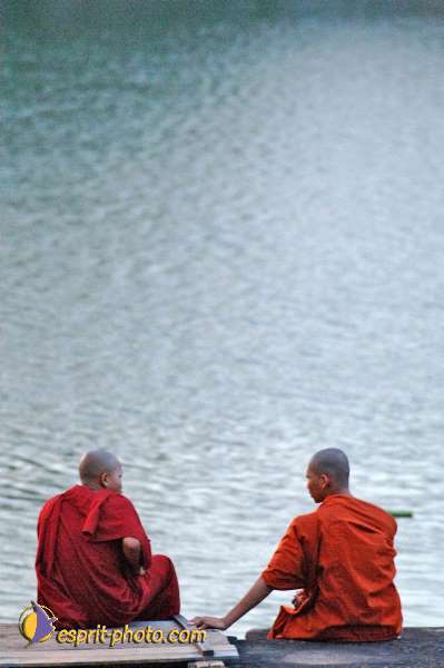 Nom de l'image : D2101184_1 — Description :