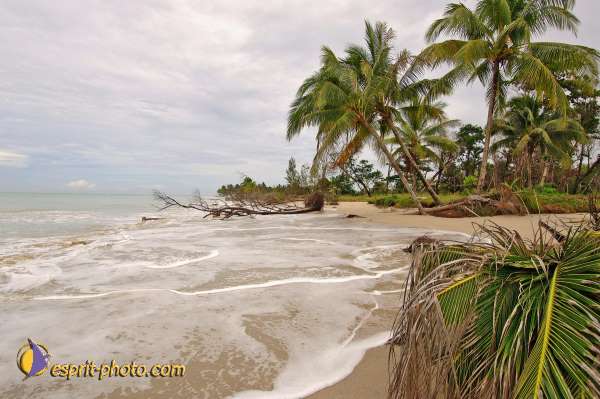 Nom de l'image : D2088454_1 — Description :  Enfants du Mékong
