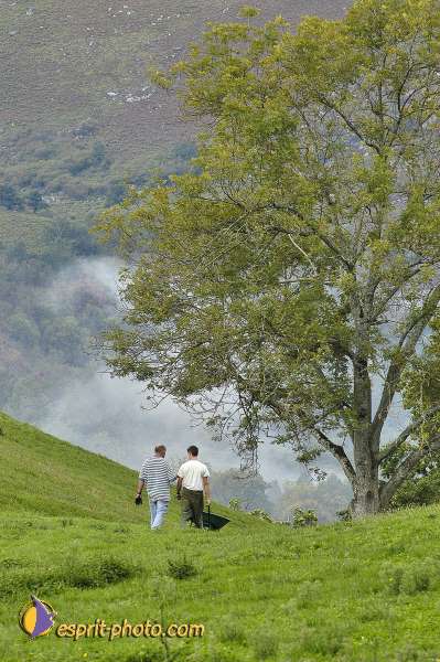 Nom de l'image : EG-300-6881 — Description :