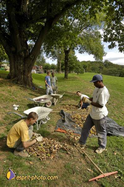 Nom de l'image : EG-300-6999-1 — Description :