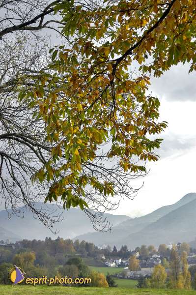 Nom de l'image : EG-300-9112-1 — Description :