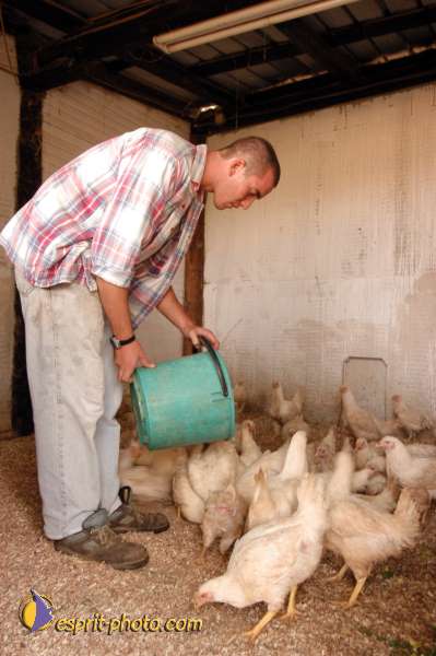 Nom de l'image : D1075035 — Description :