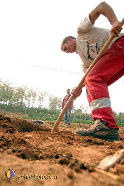 Nom de l'image : D1075094 — Description :