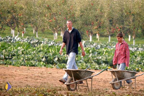 Nom de l'image : D1075120 — Description :