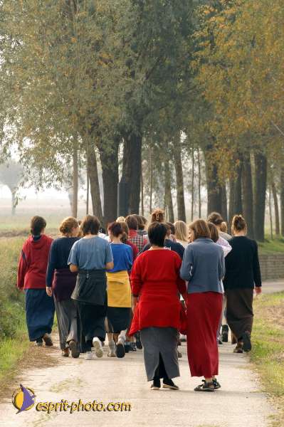 Nom de l'image : D1077000 — Description :