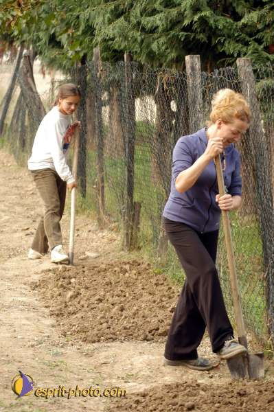 Nom de l'image : D1077141 — Description :