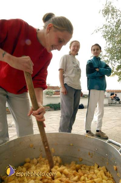 Nom de l'image : D1077228 — Description :