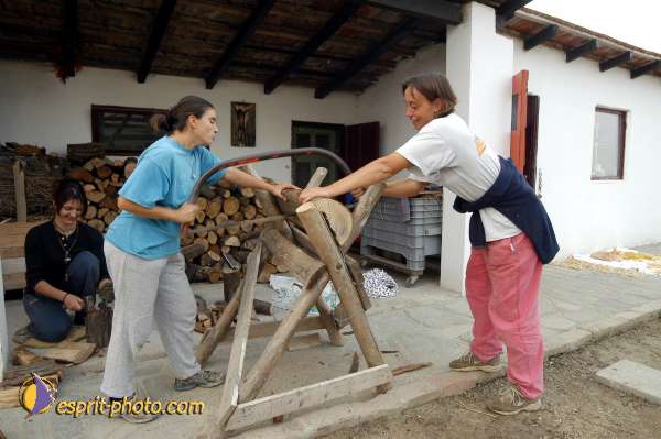 Nom de l'image : D1077463 — Description :