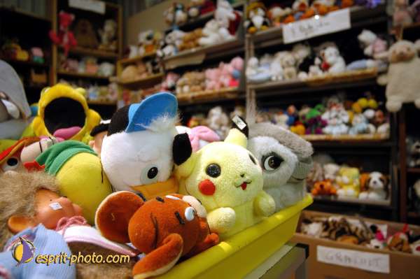 Nom de l'image : D1106864-01 — Description :