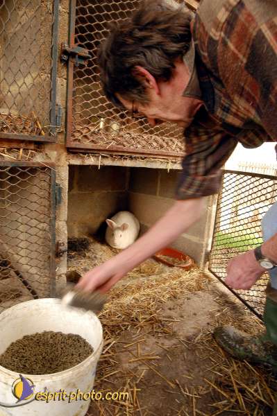 Nom de l'image : D1107320-01 — Description :