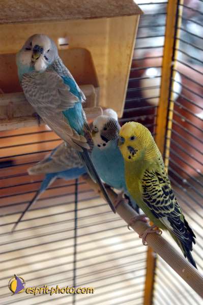 Nom de l'image : D1107622-01 — Description :