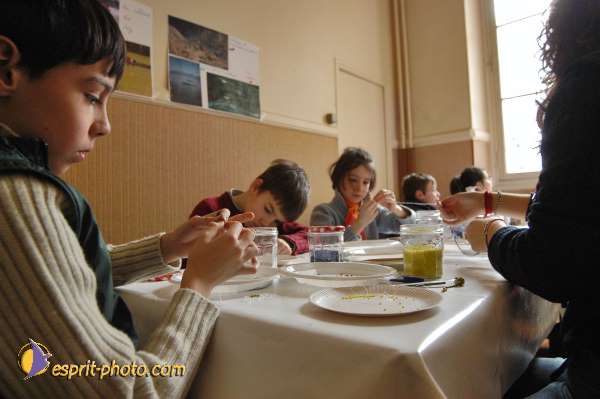 Nom de l'image : E00029295-1 — Description :