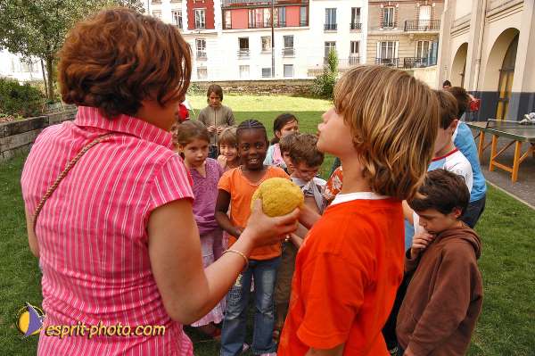 Nom de l'image : E00051581-1 — Description :