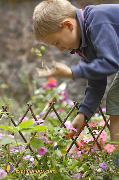 Nom de l'image : D2029350 — Description :