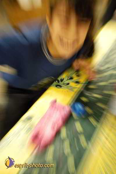 Nom de l'image : D1193632-1 — Description :  Association 'Le Rocher'