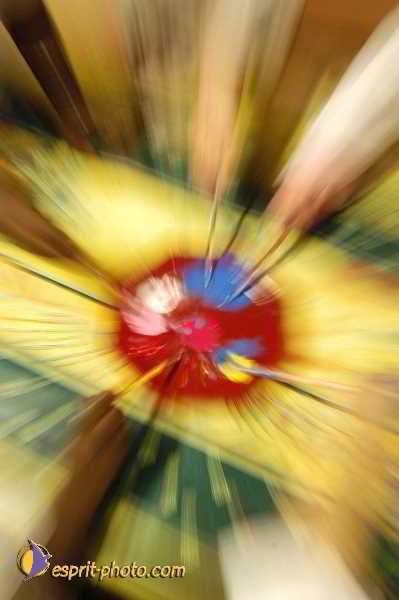 Nom de l'image : D1193638-1 — Description :  Association 'Le Rocher'