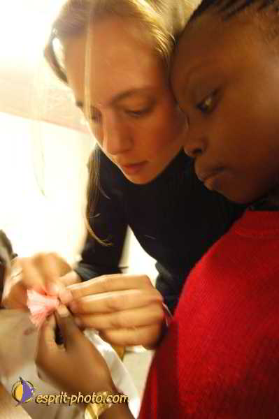 Nom de l'image : D1193727-1 — Description :  Association 'Le Rocher'