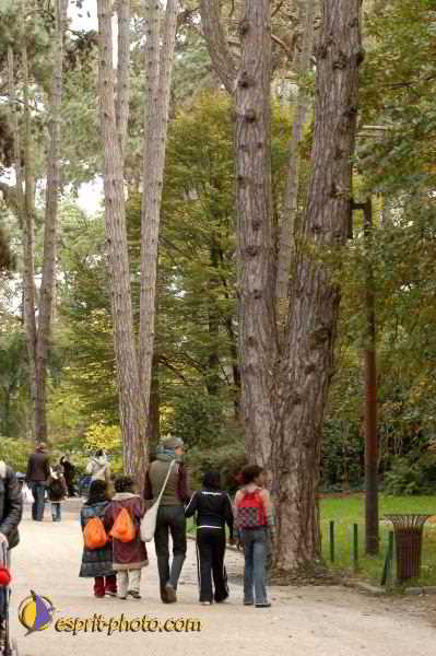 Nom de l'image : E00016261-1 — Description :  Toussaint 2004 - Messe avec les sans abri