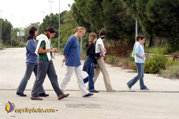 Nom de l'image : D1078807-01 — Description :