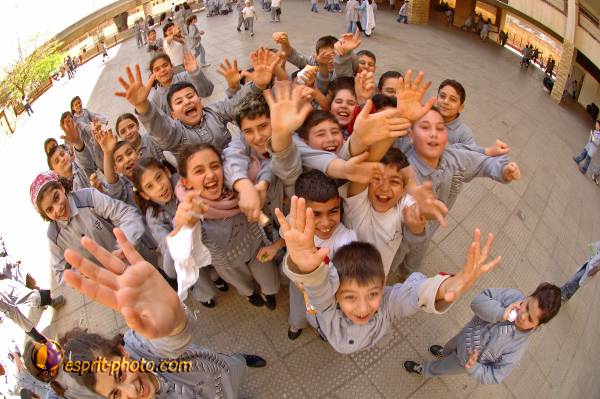 Nom de l'image : D2158633_1 — Description :