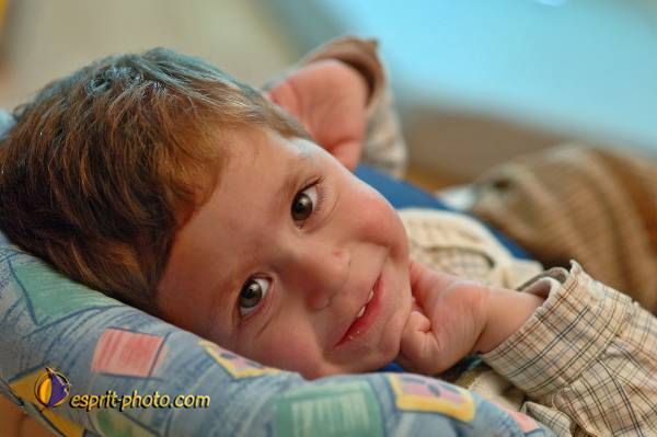 Nom de l'image : D2159902_1 — Description :