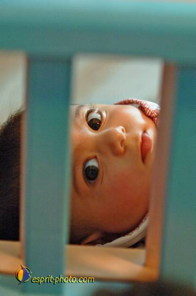 Nom de l'image : D2159962_1 — Description :