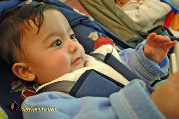 Nom de l'image : D2160033_1 — Description :