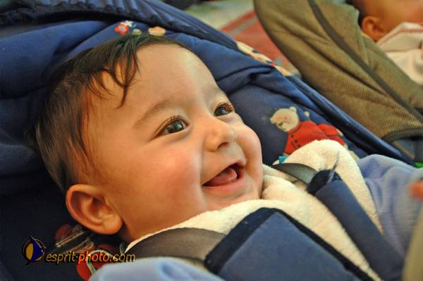 Nom de l'image : D2160039_1 — Description :