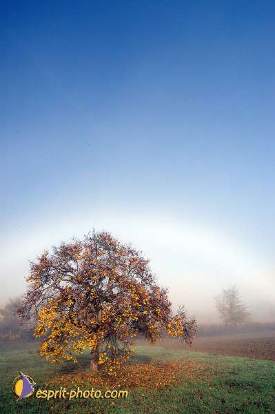 Nom de l'image : D1087123-nef-01 — Description :