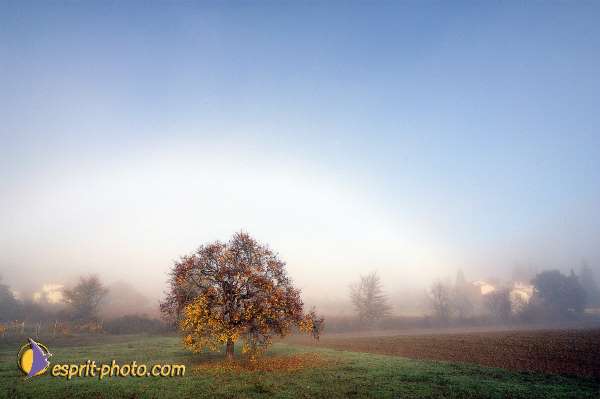 Nom de l'image : D1087125-nef-01 — Description :