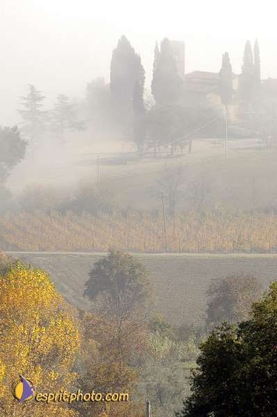 Nom de l'image : D1087282-01 — Description :