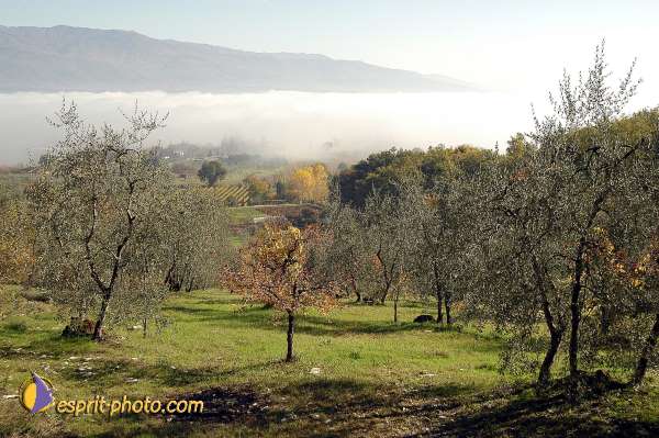 Nom de l'image : D1087286-01 — Description :