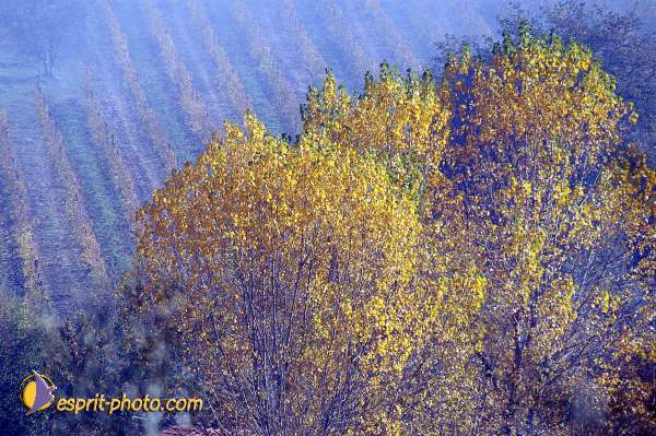 Nom de l'image : D1087290-01 — Description :