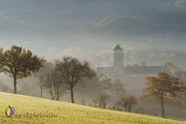 Nom de l'image : D1092747-nef — Description :