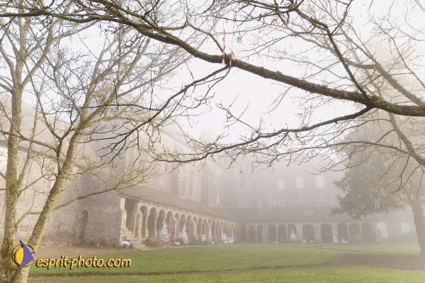 Nom de l'image : D1101462-nef — Description :