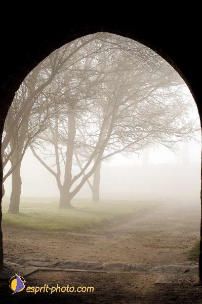 Nom de l'image : D1101472-nef — Description :