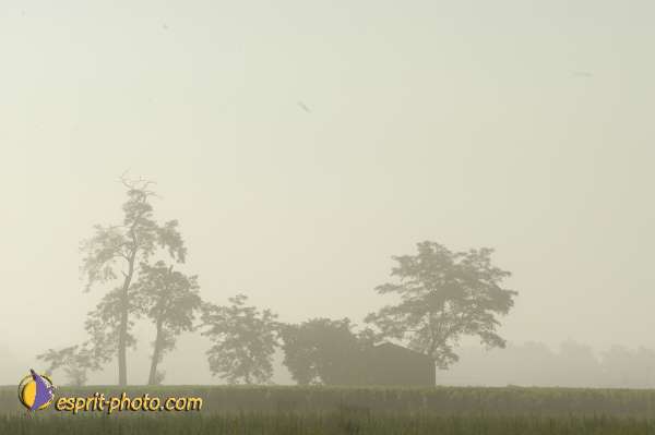 Nom de l'image : E00004612 — Description :