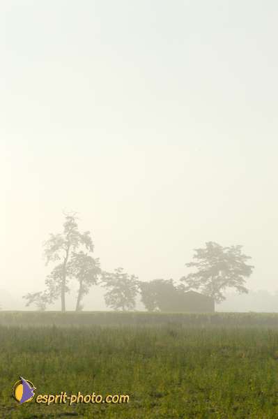 Nom de l'image : E00004613 — Description :