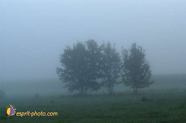 Nom de l'image : Nat-1062 — Description :