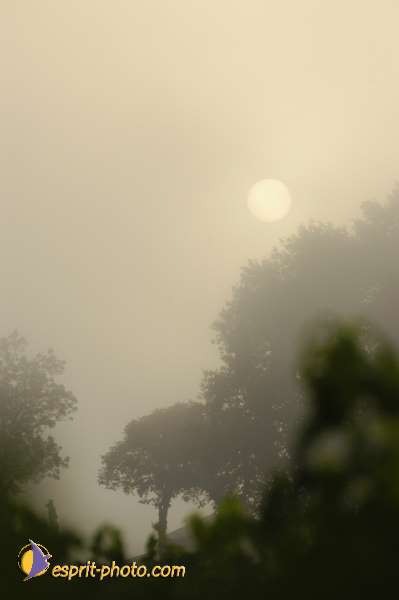 Nom de l'image : Nat-1071 — Description :