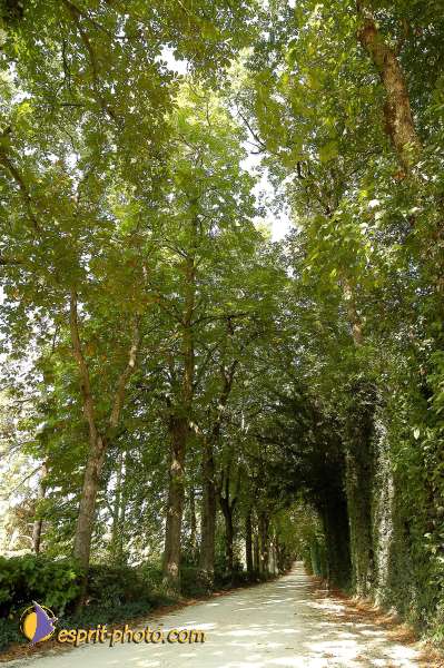 Nom de l'image : D1065506-01 — Description :  Festival Saint Jean (jeunes de 15-25ans)