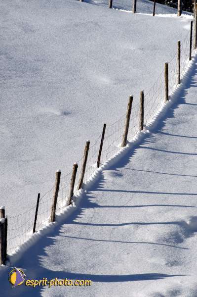 Nom de l'image : D1103726-01 — Description :