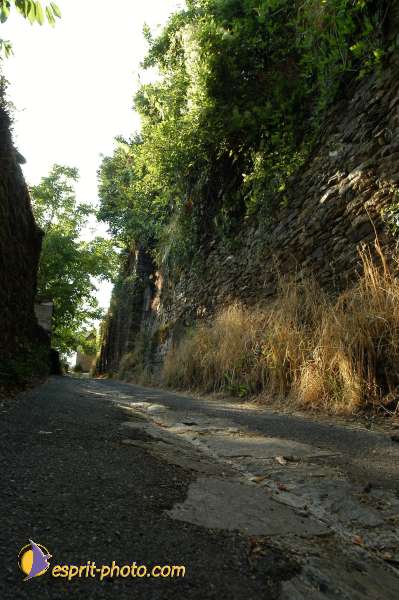 Nom de l'image : D1154351-01 — Description :