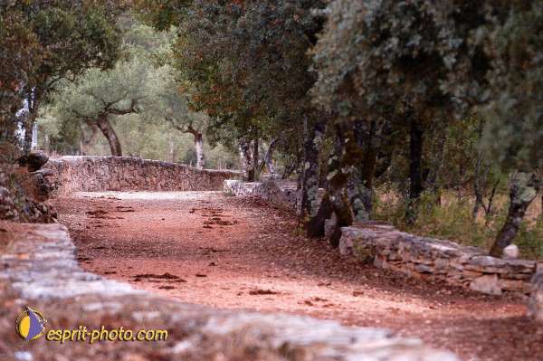 Nom de l'image : D1160783-01 — Description :  Fatima (Portugal)