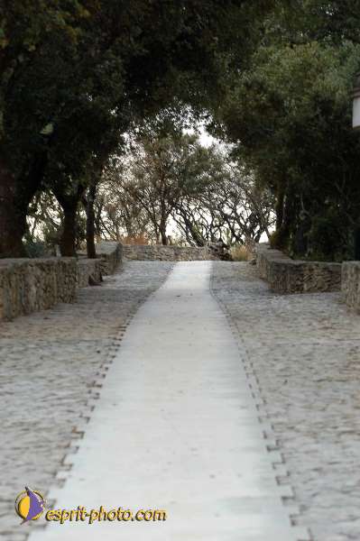 Nom de l'image : D1160793-01 — Description :  Fatima (Portugal)