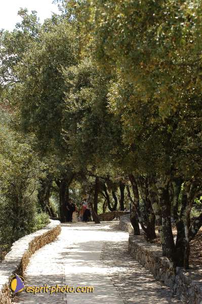 Nom de l'image : D1161621-01 — Description :  Fatima (Portugal)